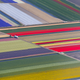 Image for article titled Photos: Fields of flowers look like modern art from above